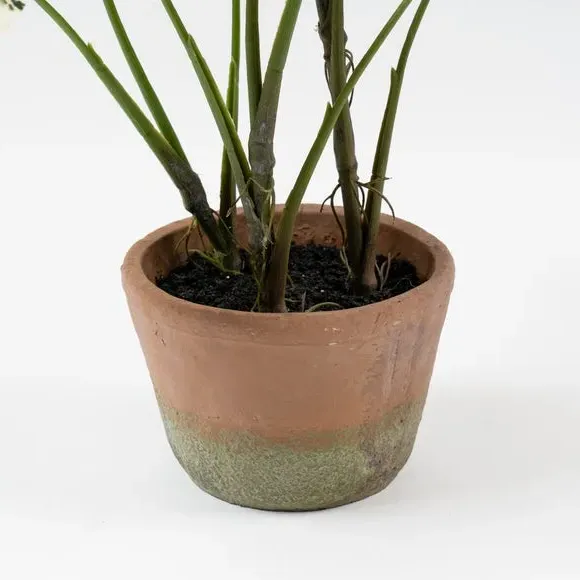 Artificial Alocasia Plant - Green, Cement Pot