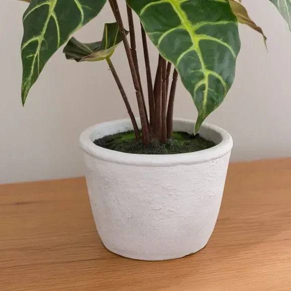 Artificial Alocasia Plant - Green, Cement Pot