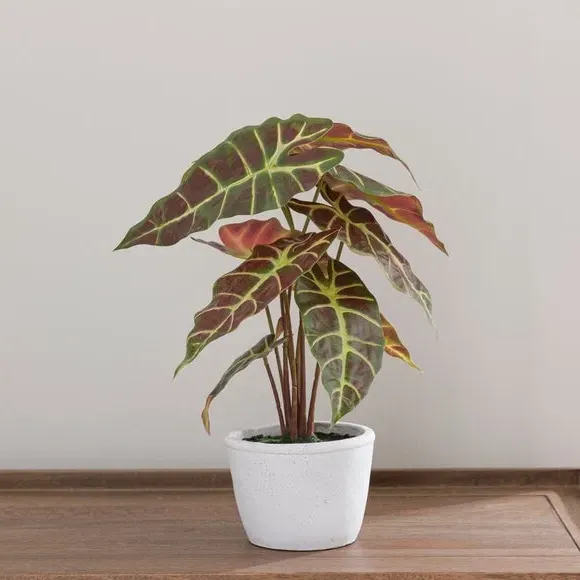 Artificial Alocasia Plant - Purple, Cement Pot