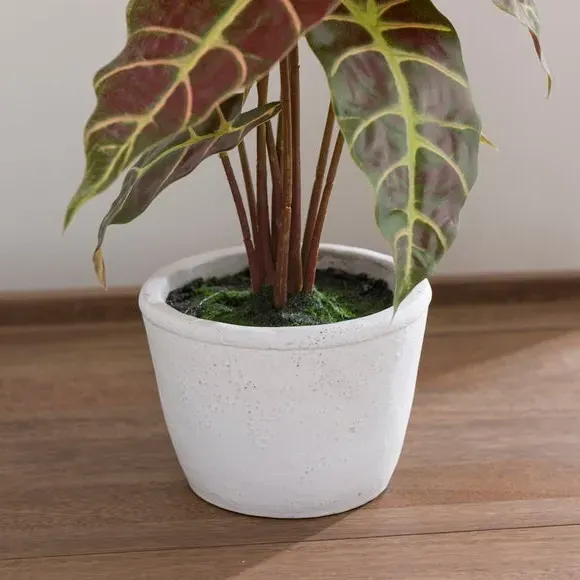 Artificial Alocasia Plant - Purple, Cement Pot