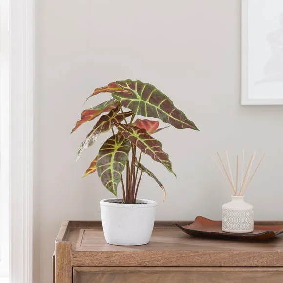 Artificial Alocasia Plant - Purple, Cement Pot