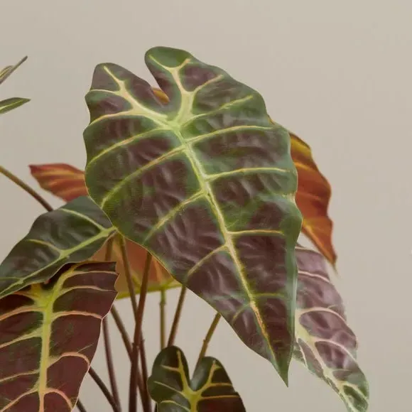 Artificial Alocasia Plant - Purple, Ceramic Pot