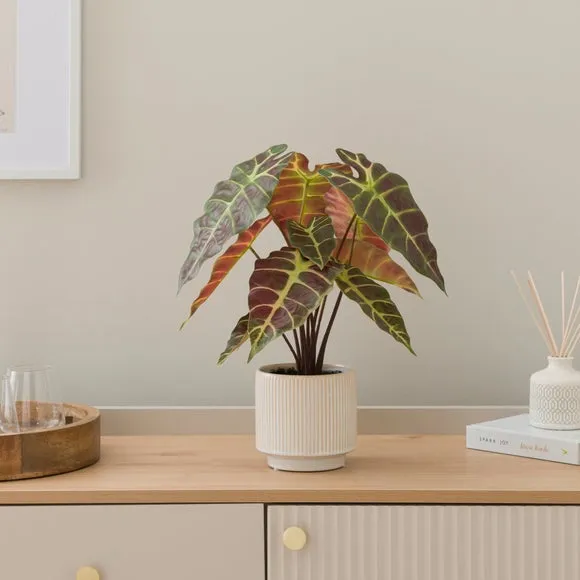 Artificial Alocasia Plant - Purple, Ceramic Pot image