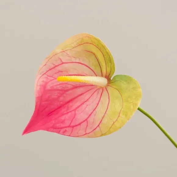 Artificial Anthurium Stem - Green