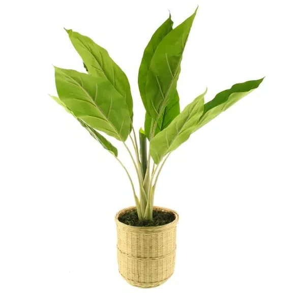 Artificial Banana Plant - Natural, Bamboo Pot