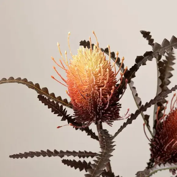 Artificial Banksia Stem - Orange