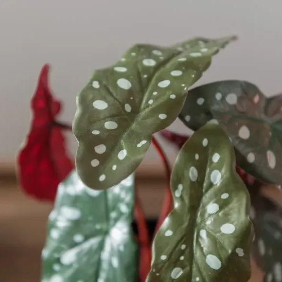 Artificial Begonia Plant - Green, Plastic Pot