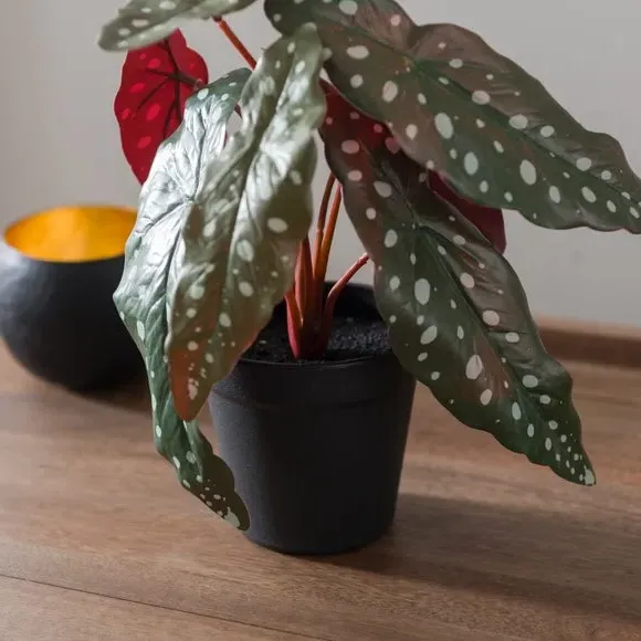 Artificial Begonia Plant - Green, Plastic Pot