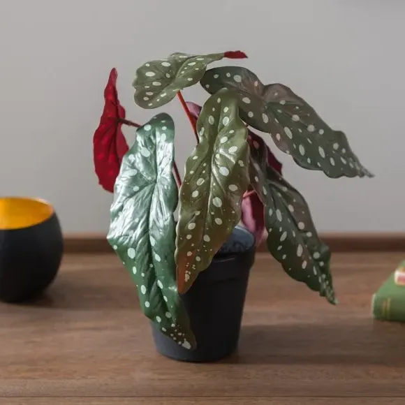 Artificial Begonia Plant - Green, Plastic Pot