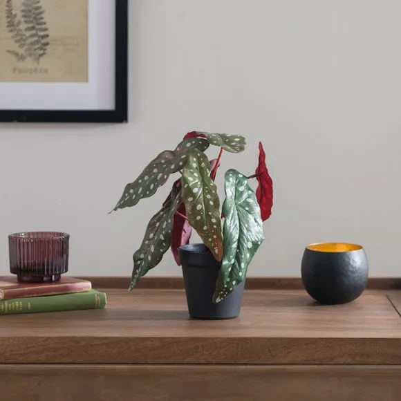 Artificial Begonia Plant - Green, Plastic Pot image