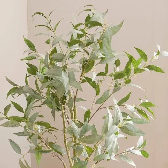 Artificial Blue Gum Tree - Green, Plastic Pot