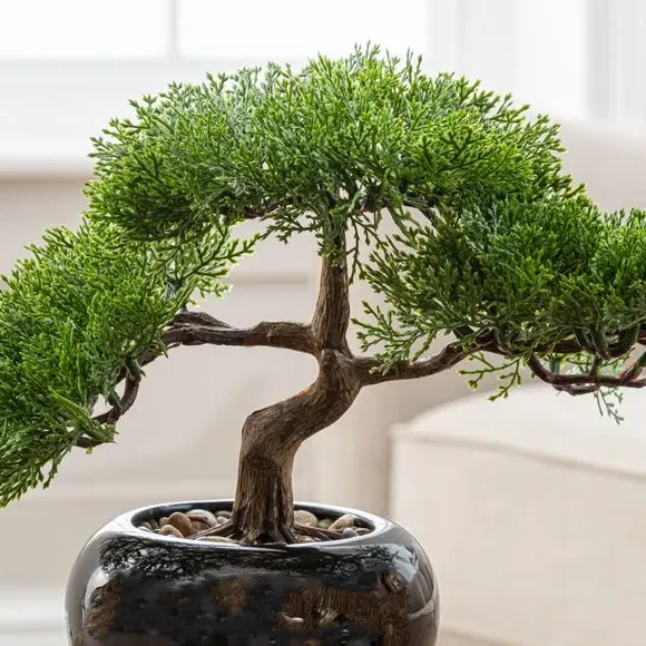 Artificial Bonsai Tree - Green, Black Pot