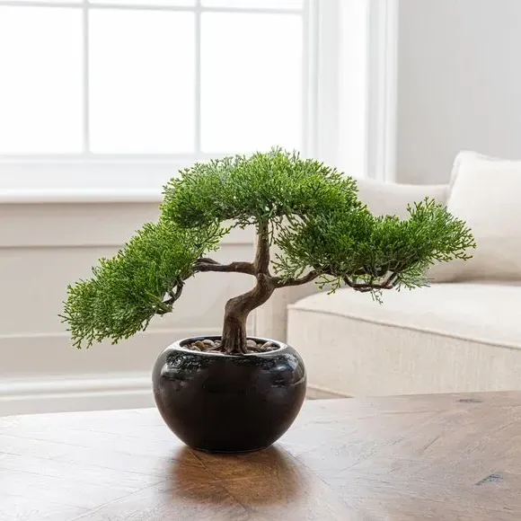 Artificial Bonsai Tree - Green, Black Pot image
