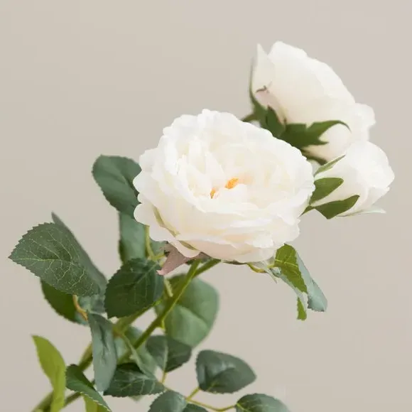 Artificial Cabbage Rose Stem - White