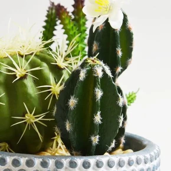 Artificial Cactus Plant - Blue, Ceramic Pot