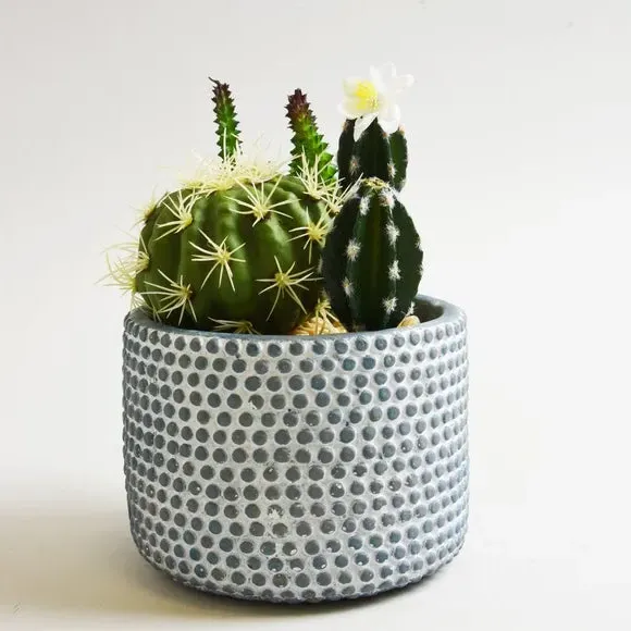 Artificial Cactus Plant - Blue, Ceramic Pot