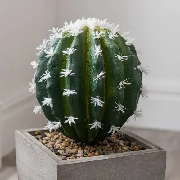 Artificial Cactus Plant - Green, Wood Pot