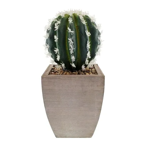 Artificial Cactus Plant - Green, Wood Pot