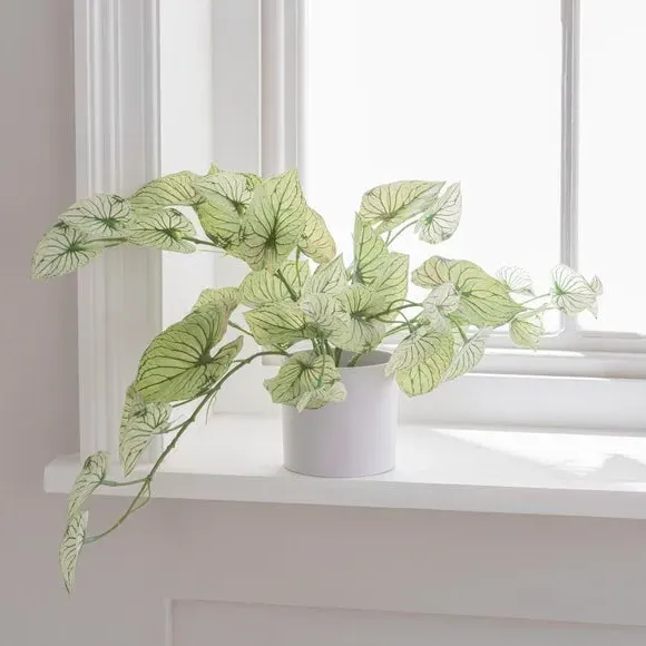 Artificial Caladium Plant - Green, Plastic Pot