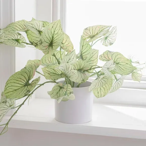 Artificial Caladium Plant - Green, Plastic Pot