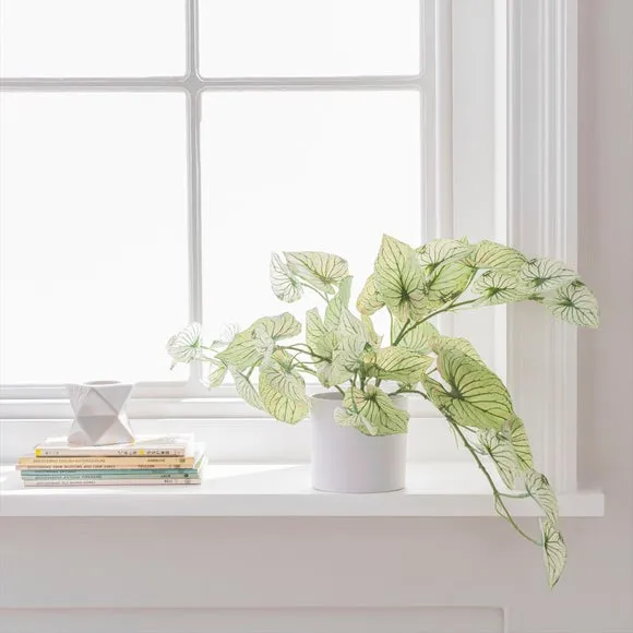Artificial Caladium Plant - Green, Plastic Pot image