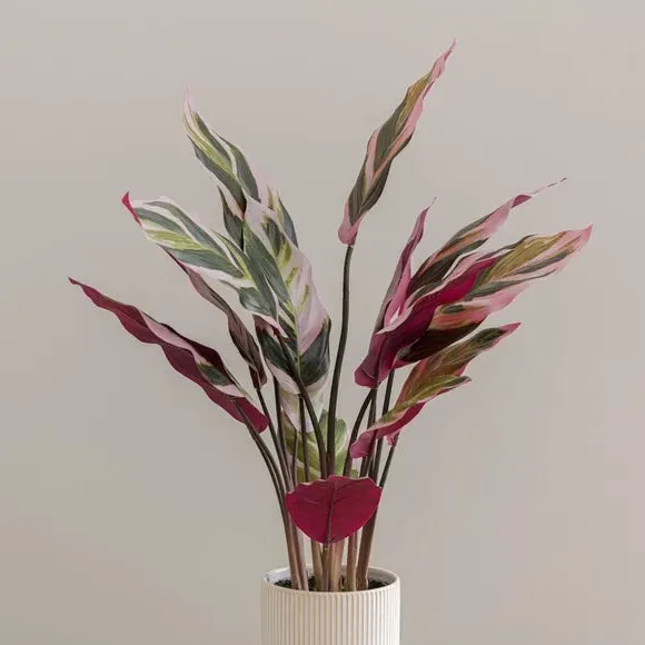 Artificial Calathea Plant - Purple, Ceramic Pot