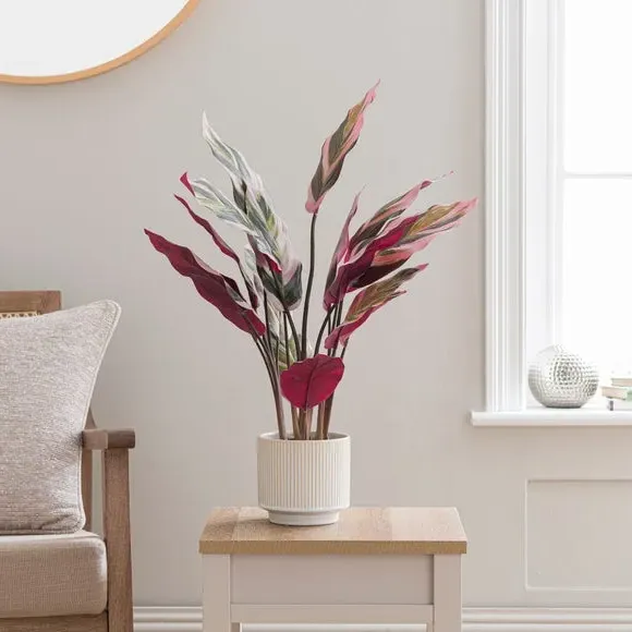 Artificial Calathea Plant - Purple, Ceramic Pot