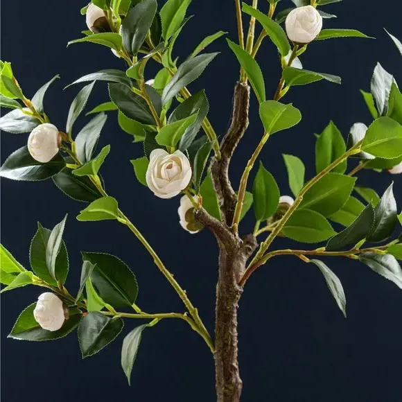 Artificial Camellia Tree - Off-White, Black Pot
