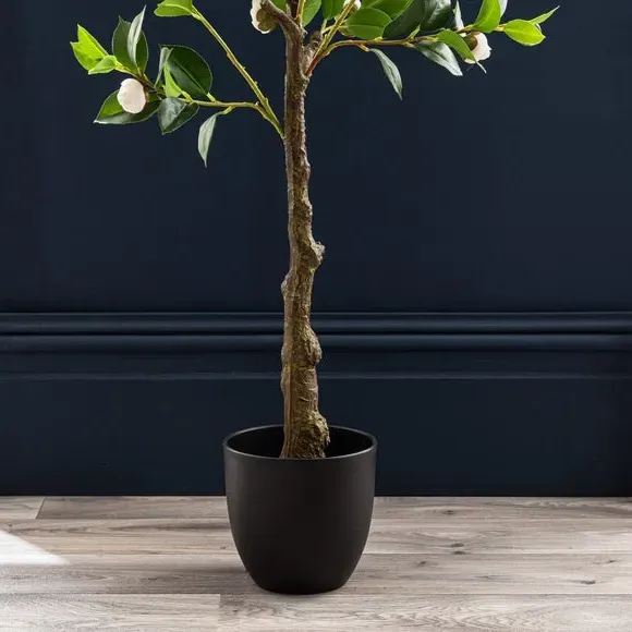 Artificial Camellia Tree - Off-White, Black Pot