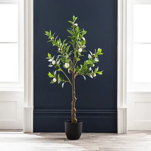 Artificial Camellia Tree - Off-White, Black Pot