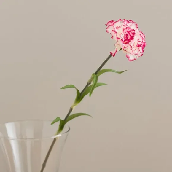 Artificial Carnation Stem - Pink