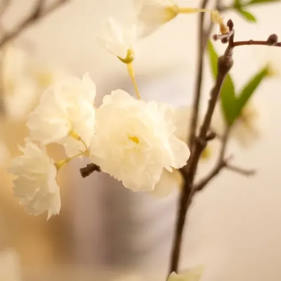 Artificial Cherry Blossom Tree - White, Plastic