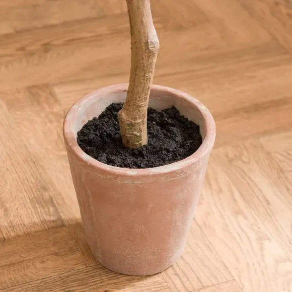 Artificial Croton Tree - Red, Terracotta Pot