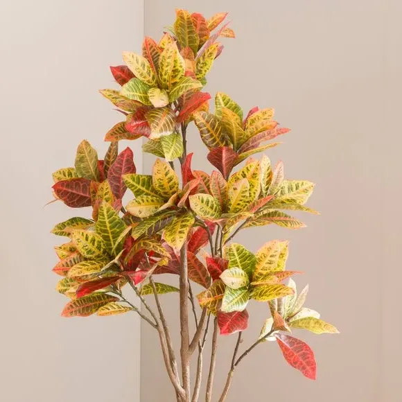 Artificial Croton Tree - Red, Terracotta Pot