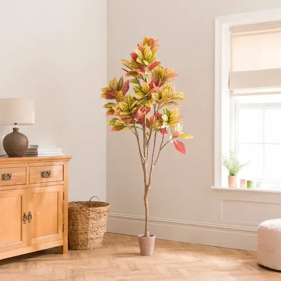 Artificial Croton Tree - Red, Terracotta Pot