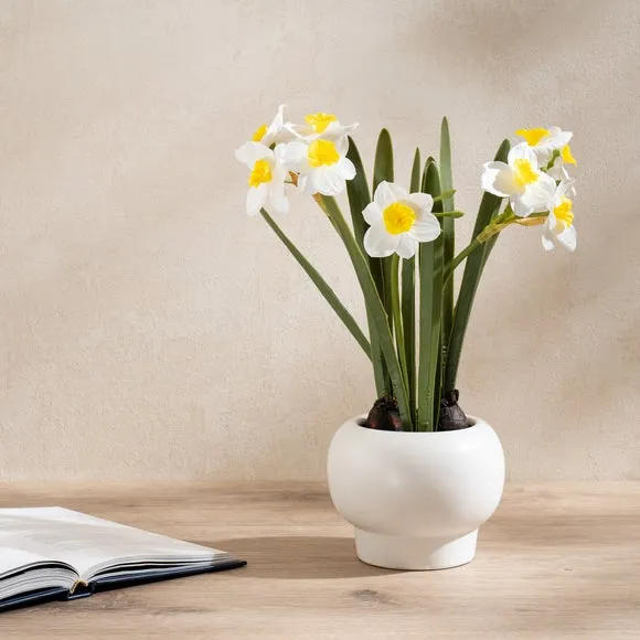 Artificial Daffodil Spray - Yellow, Ceramic Pot image