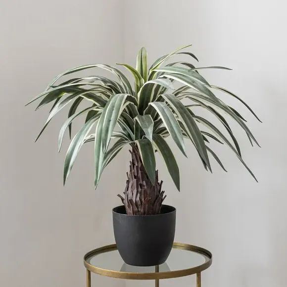 Artificial Dracaena Plant - Green, Black Pot