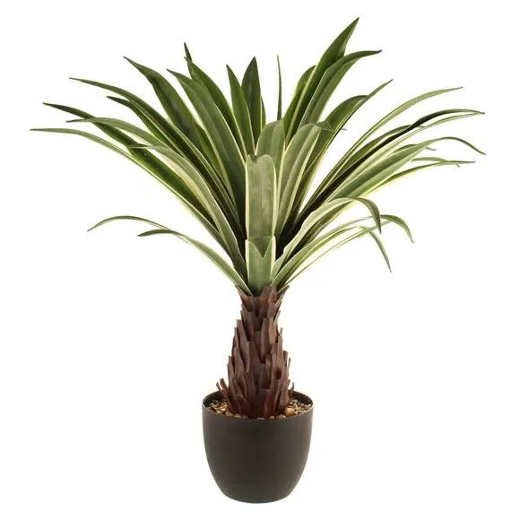 Artificial Dracaena Plant - Green, Black Pot