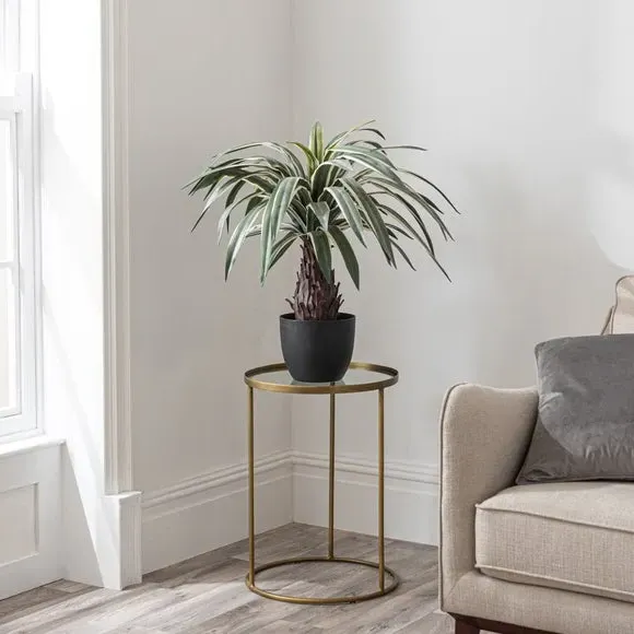 Artificial Dracaena Plant - Green, Black Pot image