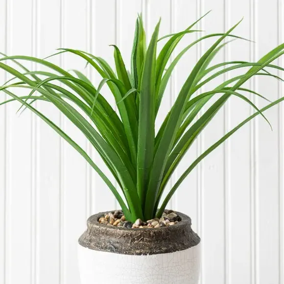 Artificial Dracaena Plant - Green, Ceramic Pot