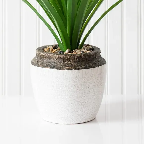 Artificial Dracaena Plant - Green, Ceramic Pot