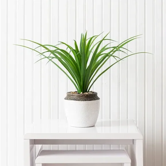 Artificial Dracaena Plant - Green, Ceramic Pot