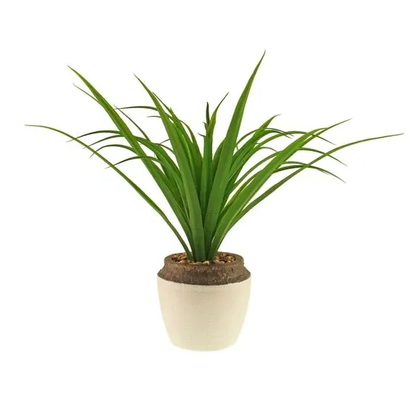 Artificial Dracaena Plant - Green, Ceramic Pot