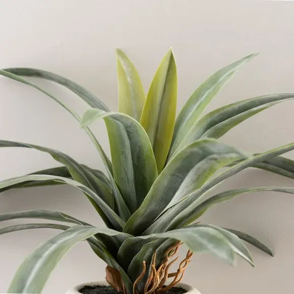 Artificial Dracaena Plant - Green, Ribbed Pot