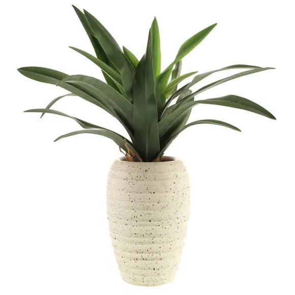 Artificial Dracaena Plant - Green, Ribbed Pot