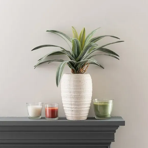 Artificial Dracaena Plant - Green, Ribbed Pot
