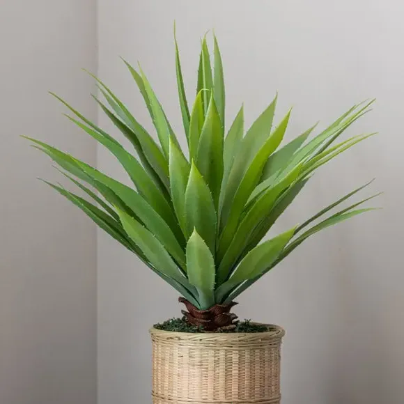 Artificial Dracaena Plant - Natural, Bamboo Pot