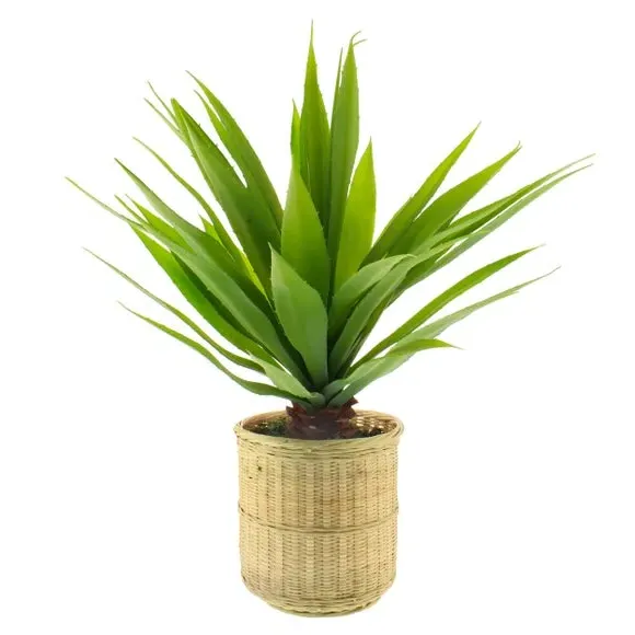 Artificial Dracaena Plant - Natural, Bamboo Pot