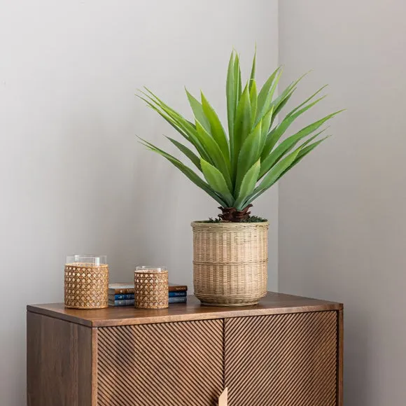 Artificial Dracaena Plant - Natural, Bamboo Pot image