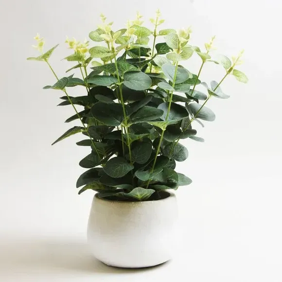 Artificial Eucalyptus Plant - White, Cement Pot